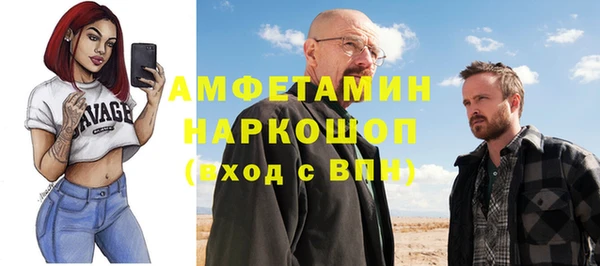 молекула духа Киреевск