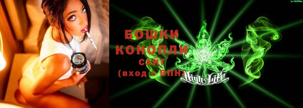 молекула духа Киреевск