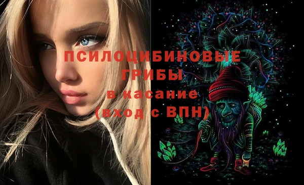мяу мяу мука Кинешма