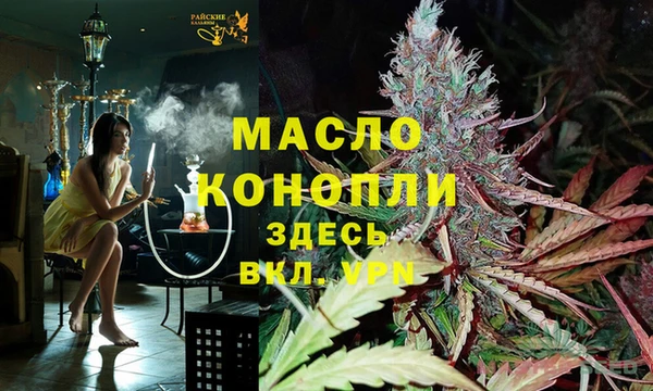 молекула духа Киреевск